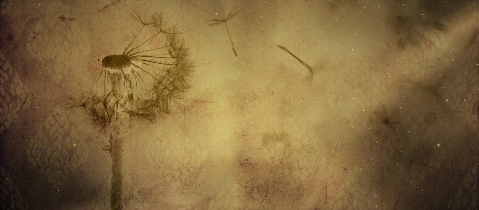 dandelion