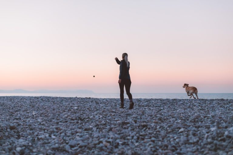 walking-dog_zxfforfxlm
